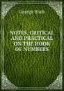 NOTES, CRITICAL AND PRACTICAL ON THE HOOK OF NUMBERS - George Bush