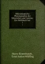 Mikroskopische Physiographie der Mineralien und Gestine: Ein Hulfsbuch bei . 1 - Harry Rosenbusch