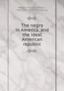 The negro in America, and the ideal American republic - Thomas Jefferson Morgan