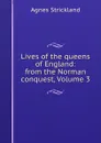 Lives of the queens of England: from the Norman conquest, Volume 3 - Strickland Agnes