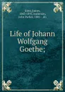 Life of Johann Wolfgang Goethe; - James Sime