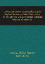 Life in its lower, intermediate, and higher forms: or, Manifestations of the divine wisdom in the natural history of animals - Philip Henry Gosse