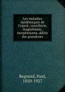 Les maladies epidemiques de l.esprit; sorcellerie, magnetisme, morphinisme, delire des grandeurs - Paul Regnard