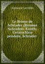 Le Brome de Schrader (Bromus Schraderi, Kunth; Ceratochloa pendula, Schrader . - Alphonse Lavallée