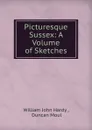 Picturesque Sussex: A Volume of Sketches - William John Hardy