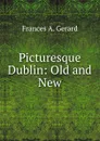 Picturesque Dublin: Old and New - Frances A. Gerard