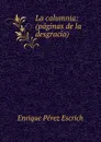 La calumnia: (paginas de la desgracia) - Enrique Pérez Escrich