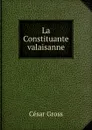 La Constituante valaisanne - César Gross