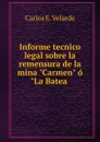 Informe tecnico legal sobre la remensura de la mina 