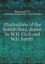 Illustrations of the British flora, drawn by W.H. Fitch and W.G. Smith . - Walter Hood Fitch