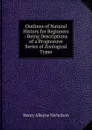 Outlines of Natural History for Beginners : Being Descriptions of a Progressive Series of Zoological Types - Henry Alleyne Nicholson