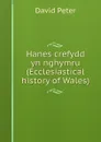 Hanes crefydd yn nghymru (Ecclesiastical history of Wales). - David Peter