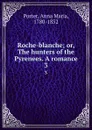 Roche-blanche; or, The hunters of the Pyrenees. A romance. 3 - Anna Maria Porter