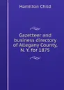 Gazetteer and business directory of Allegany County, N. Y. for 1875 - Child Hamilton