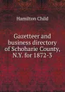 Gazetteer and business directory of Schoharie County, N.Y. for 1872-3 - Child Hamilton