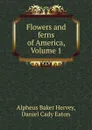 Flowers and ferns of America, Volume 1 - Alpheus Baker Hervey