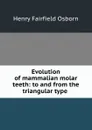 Evolution of mammalian molar teeth: to and from the triangular type . - Henry Fairfield Osborn