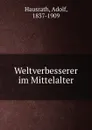 Weltverbesserer im Mittelalter - Adolf Hausrath