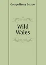 Wild Wales - George Henry Borrow