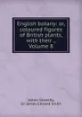 English botany: or, coloured figures of British plants, with their ., Volume 8 - James Sowerby