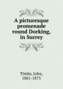 A picturesque promenade round Dorking, in Surrey - John Timbs