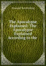 The Apocalypse Explained: The Apocalypse Explained According to the . - Emanuel Swedenborg