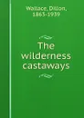 The wilderness castaways - Dillon Wallace