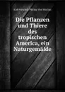 Die Pflanzen und Thiere des tropischen America, ein Naturgemalde - C. F. P. de Martius