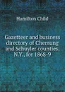 Gazetteer and business directory of Chemung and Schuyler counties, N.Y., for 1868-9 - Child Hamilton