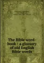 The Bible word-book : a glossary of old English Bible words - Jonathan Eastwood