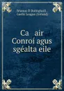 Ca   air Conroi agus sgealta eile - Séamus Ó Dubhghaill