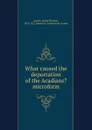 What caused the deportation of the Acadians. microform - James Phinney Baxter