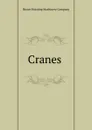 Cranes . - Brown Hoisting Machinery