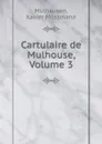 Cartulaire de Mulhouse, Volume 3 - Xavier Mossmann Mulhausen