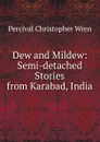 Dew and Mildew: Semi-detached Stories from Karabad, India - Percival Christopher Wren
