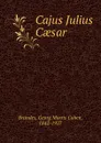 Cajus Julius Caesar - Georg Morris Cohen Brandes