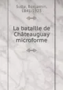 La bataille de Chateauguay microforme - Benjamin Sulte
