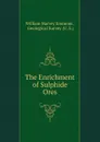 The Enrichment of Sulphide Ores - William Harvey Emmons
