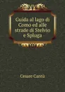 Guida al lago di Como ed alle strade di Stelvio e Spluga - Cesare Cantù