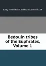 Bedouin tribes of the Euphrates, Volume 1 - Lady Anne Blunt