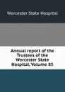 Annual report of the Trustees of the Worcester State Hospital, Volume 85 - Worcester State Hospital