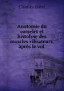 Anatomie du corselet et histolyse des muscles vibrateurs, apres le vol . - Charles Janet