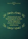 Anatomical and histrological studies of the digestive canal of Cimbex americana - Henry Herman Paul Severin