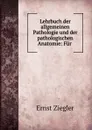 Lehrbuch der allgemeinen Pathologie und der pathologischen Anatomie: Fur . - Ernst Ziegler