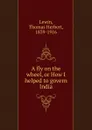 A fly on the wheel, or How I helped to govern India - Thomas Herbert Lewin