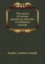 The action of various anhydrous chlorides on tellurium trioxide - Andrew Joseph Snyder