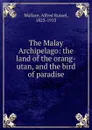 The Malay Archipelago: the land of the orang-utan, and the bird of paradise - Alfred Russel Wallace