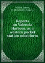 Reports on Valencia Harbour, as a western pocket station microform - James Walker