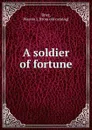 A soldier of fortune - Warren J. Brier
