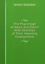 The Pilgrimage of Adam and David: With Sketches of Their Heavenly Employment - James Gallaher